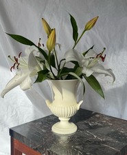 Vintage Wedgwood of Etruria