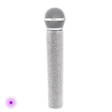 Microphone Toy/Fancy Dress