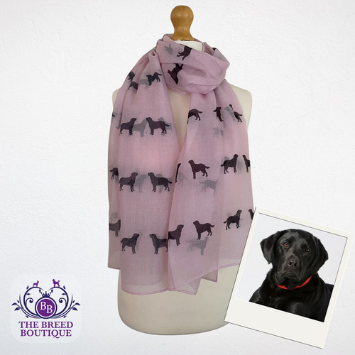 Black labrador scarf cream - scarf,