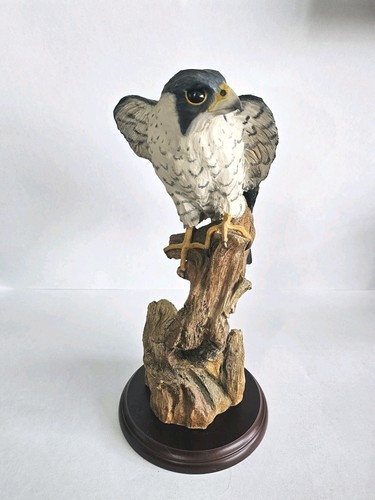 Large peregrine falcon bird - falcon, on