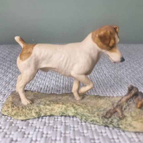 Border fine arts jack russell - jack,