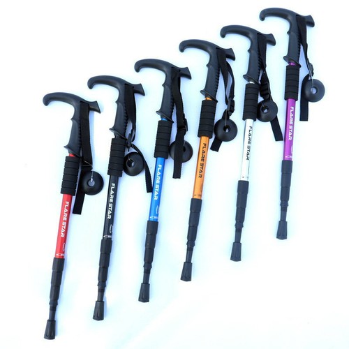 Pair trekking poles - of, 2