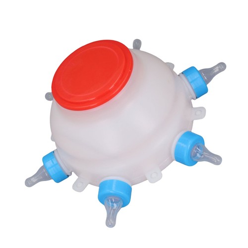 Lamb feeding bucket - lamb,