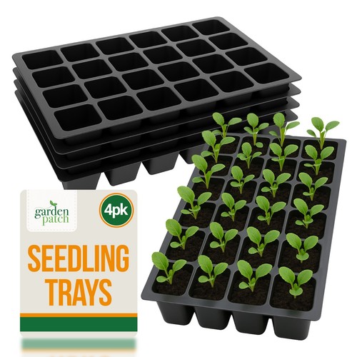 Cell seed trays with holes - cell,