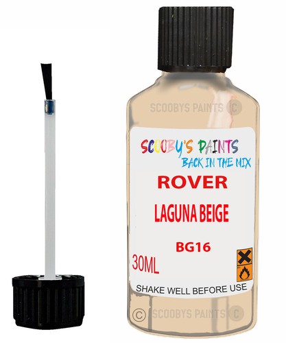 Paint touch for rover - paint, up