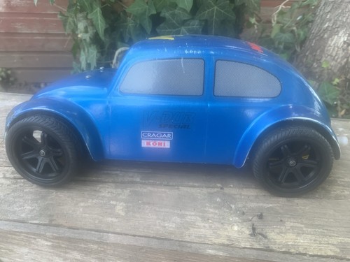 Mardave dub beetle 1 - dub,