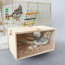 Transparent Design Parakeet