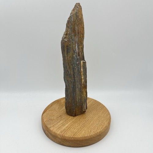 Petrified wood specimen 21cm - petrified,