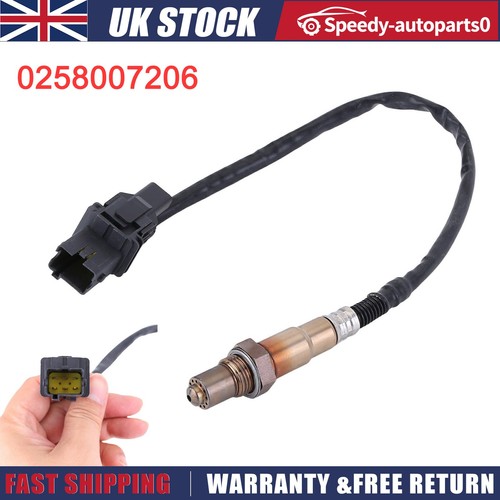 Oxygen sensor for - sensor, aem
