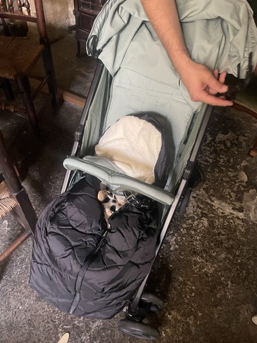 Joie pram with - with, sheepskin