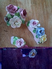 Job Lot Radnor & Adderley Bone