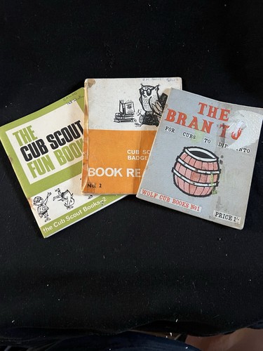 Three cub scout series books - three,