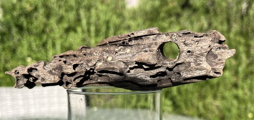 Character driftwood holes - driftwood,