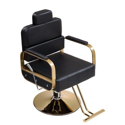 Salon barber chair hydraulic - salon,