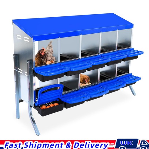 Compartment chicken nest - chicken,