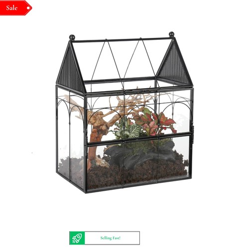 Vented glass terrarium for - glass,
