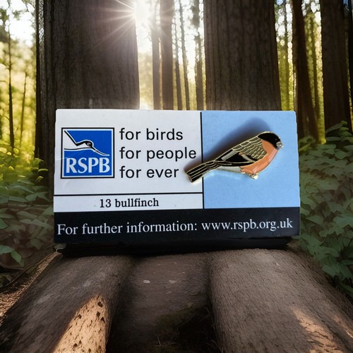 Rspb pin badge - -pin,