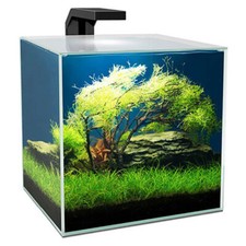 Ciano Cube Aquarium 15 with