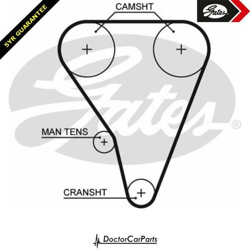 Cam timing belt - cam, for