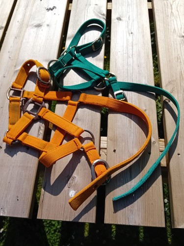 Headollars small pony - x2,