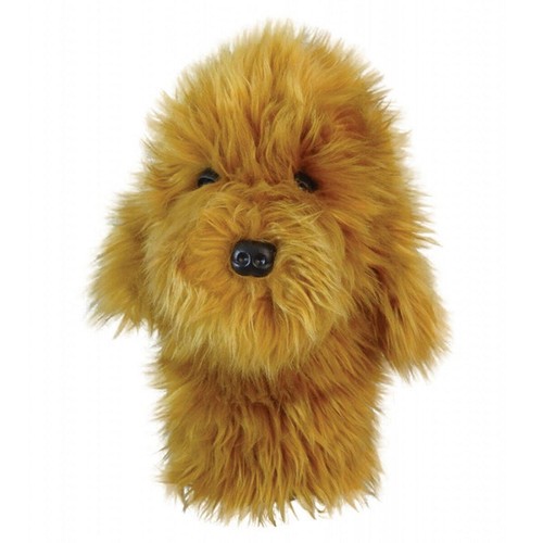 Daphne doodle dog - daphne's,