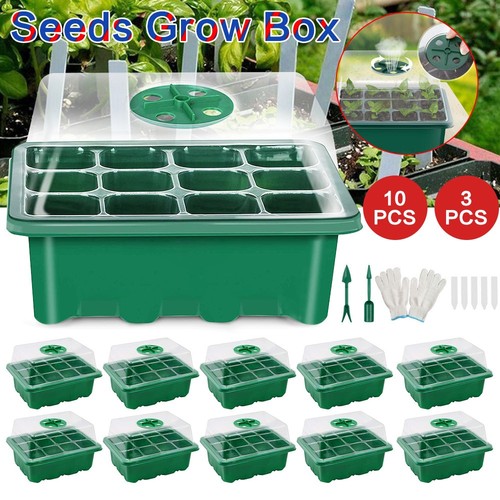 10pcs 12 holes seed - -,