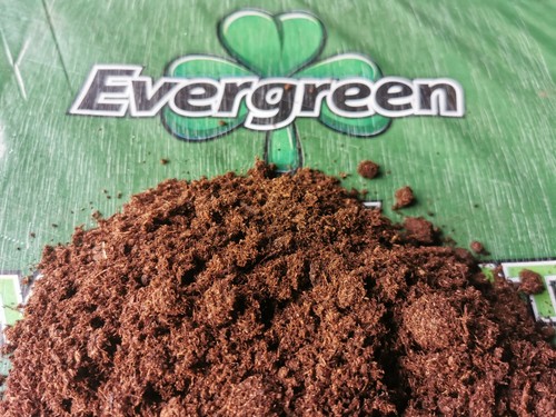 Irish moss peat - peat, sphagnum