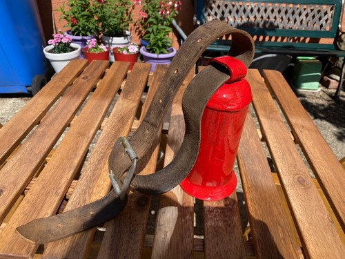 Cow type animal bell and - animal,
