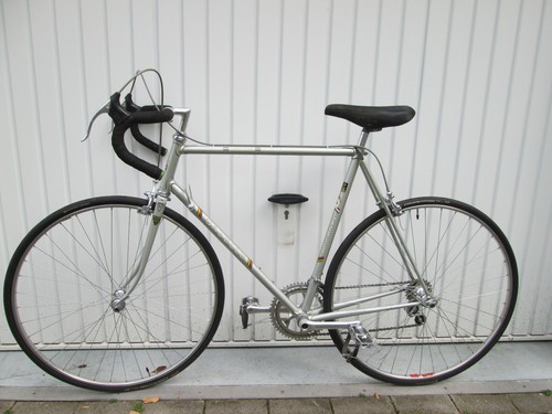 Gazelle champion pro extra - champion,