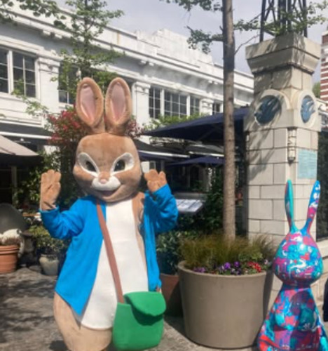 Adult bunny rabbit - bunny, mascot