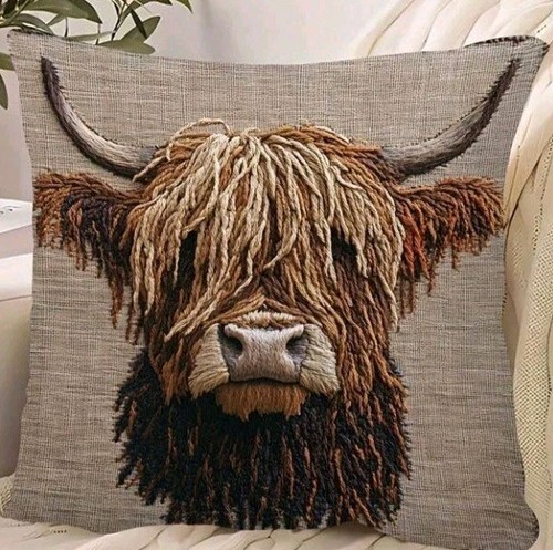 Beautiful highland cow - x,