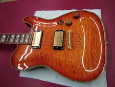 SCHECTER PT-CUSTOM Electric