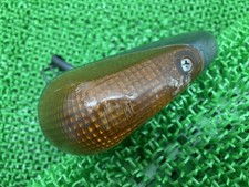 Right Rear Turn Signal for