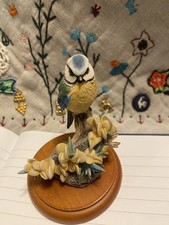 Vintage Border Fine Arts Birds