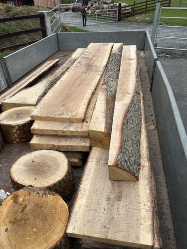 Oak and larch - and, fencing