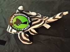 Zebra Pleco GreenPleco L46