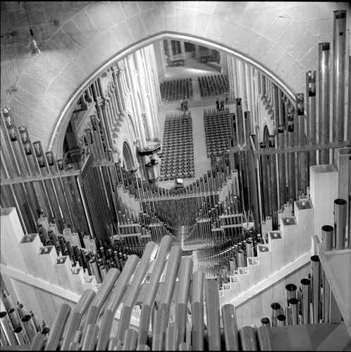 Church organ the of - the,