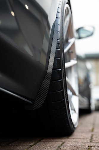 Carbon fibre arch guards - ap, /
