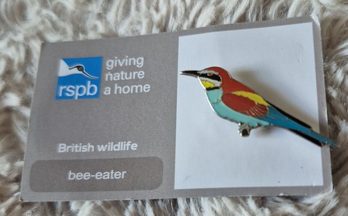 Rspb bird pin badge - rspb,