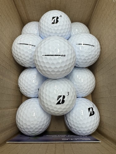 Bridgestone 2023 2024 - 12, 2023/2024