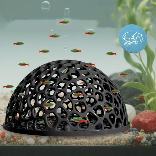 Shrimp breeding cave fish tank - breeding,