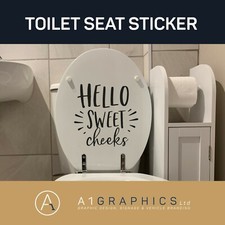 HELLO SWEET CHEEKS funny vinyl