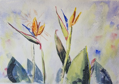Original watercolour painting - original,