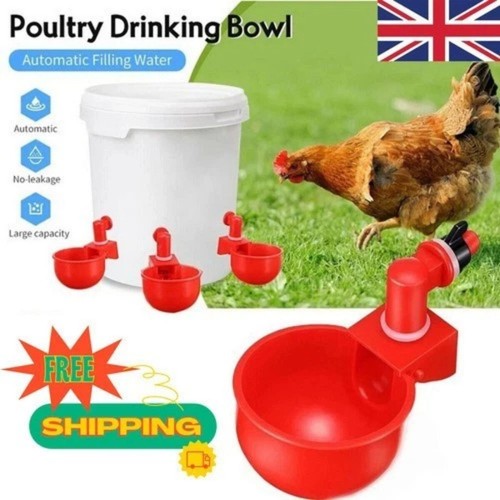 Automatic chicken water - 6x, cup