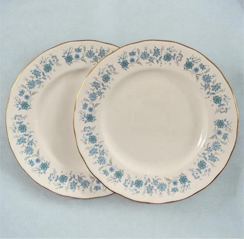Dinner plates colclough - x,