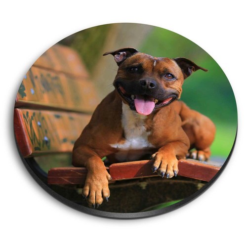 Round fridge mdf magnet - mdf,