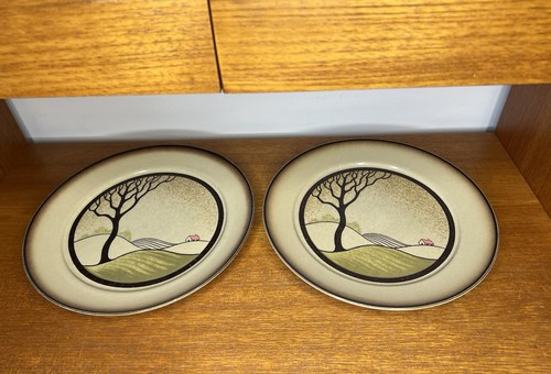 Two denby savoy dinner plates - denby,