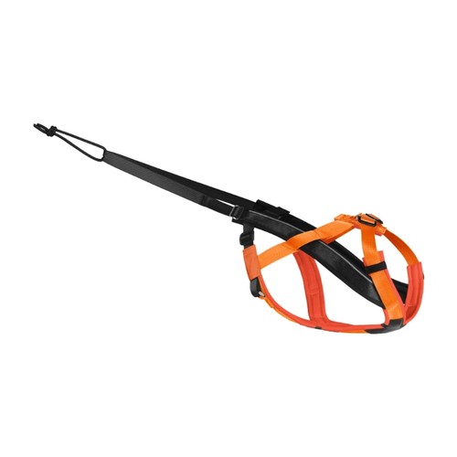 Sled harness for active - sled, dogs