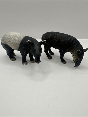 Adult tapirs collecta - 2x,