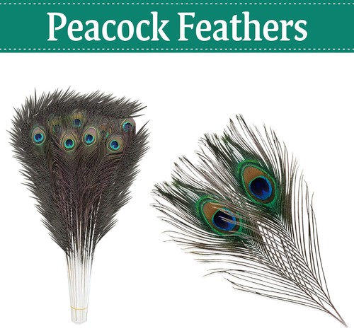 100x natural long peacock - long,